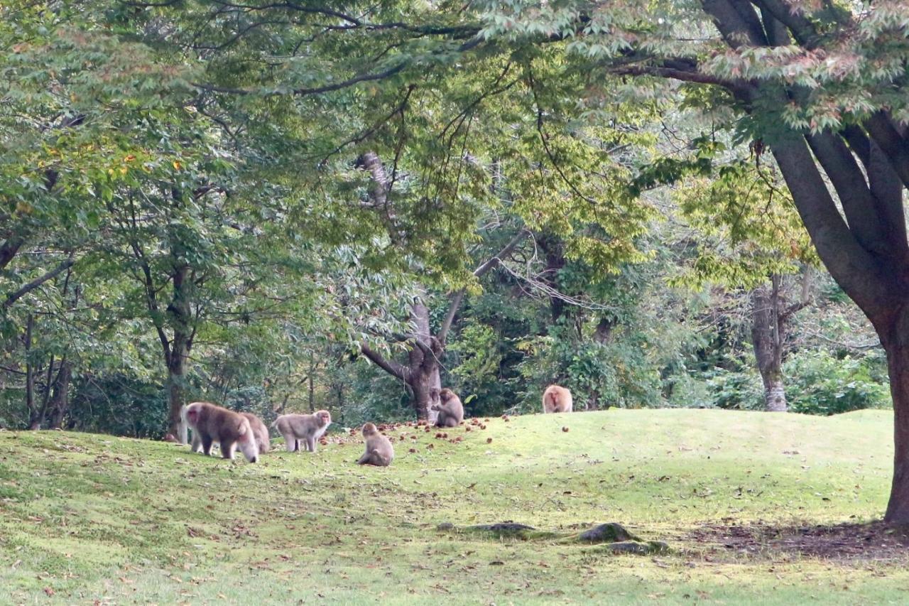 Bunanoyado Koase Aga Exterior foto